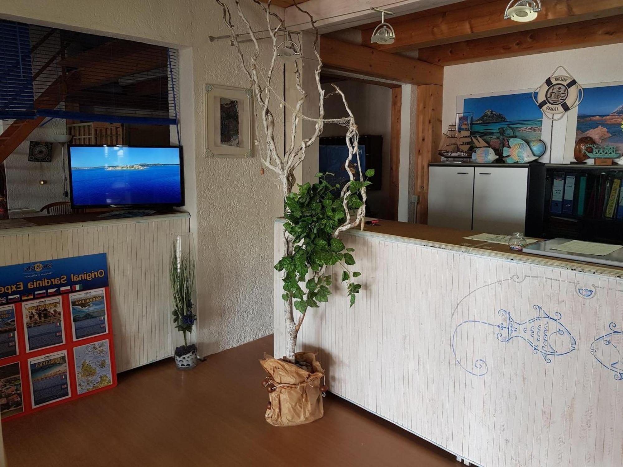 Simplistic In With Garden Olbia